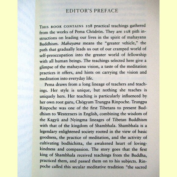 Book - Comfortable with Uncertainty: Teachings on Cultivating Fearlessness - Picture 3 of 15